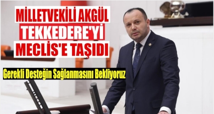 AKGÜL TEKKEDERE'Yİ MECLİSE TAŞIDI