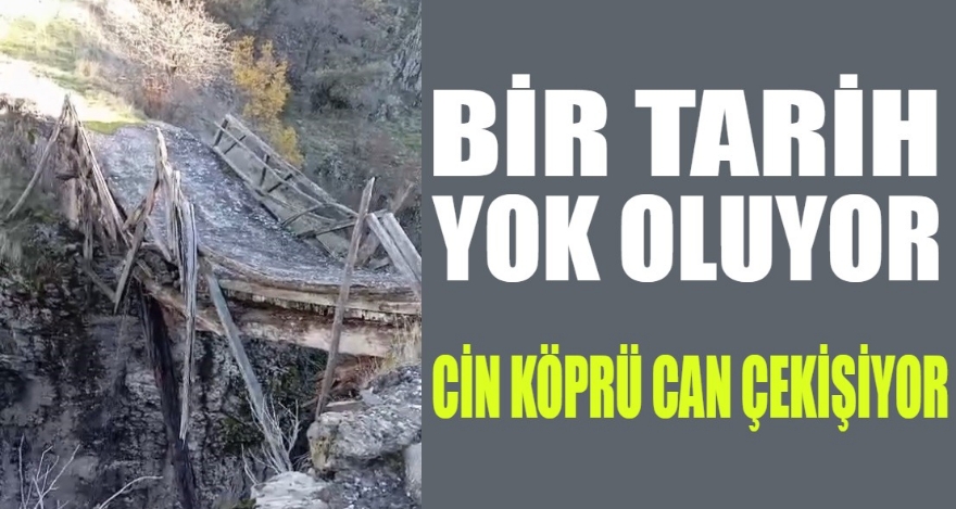 Bir tarih yok oluyor