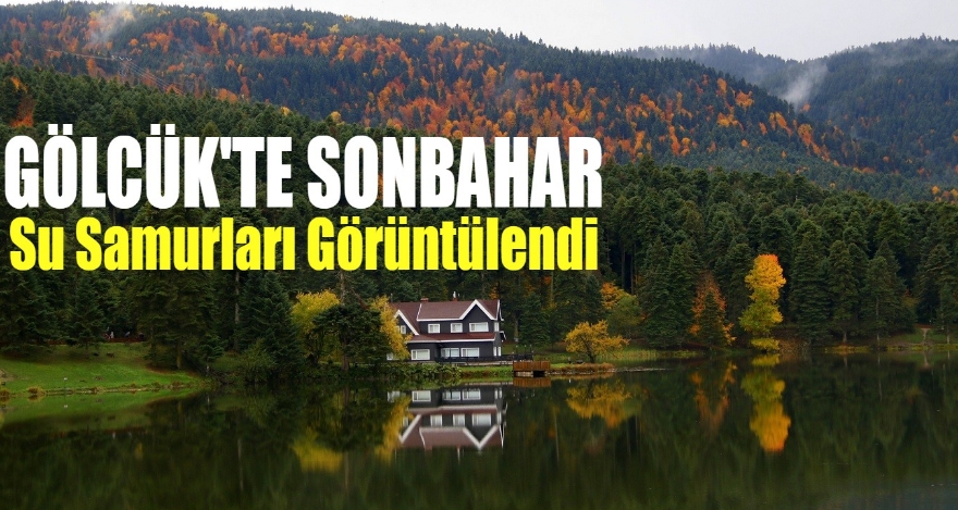 GÖLCÜK'TE SONBAHAR