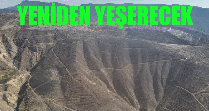 YENİDEN YEŞERECEK