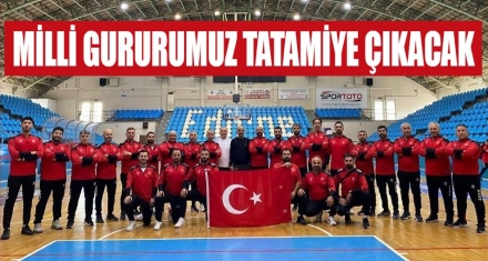 Milli Takım Romanya Yolcusu