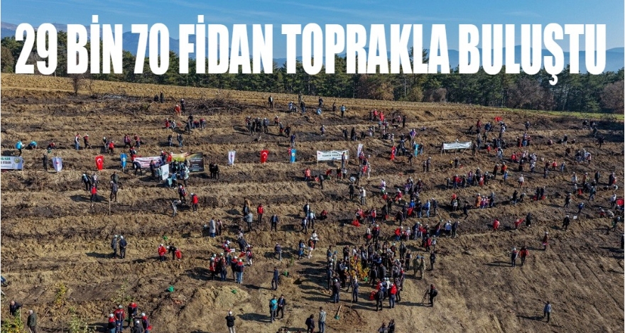 29 BİN 70 FİDAN TOPRAKLA BULUŞTU