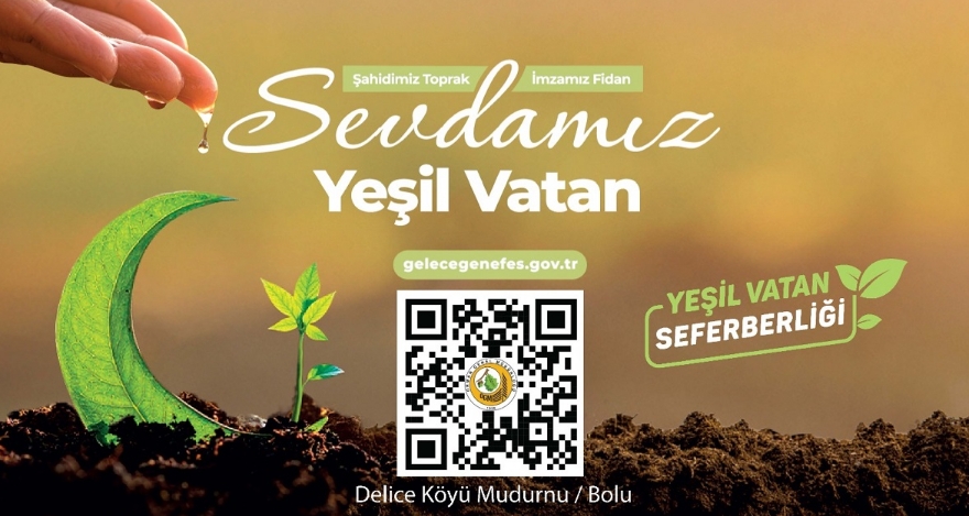 BU YIL FİDANLAR MUDURNU'DA DİKİLECEK