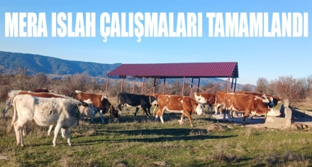 Gerede'de mera ıslah çalışmaları tamamlandı
