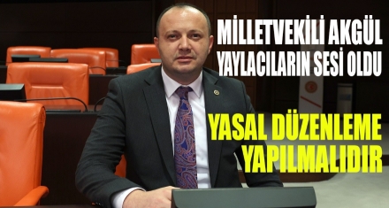 Akgül yaylacıların sesi oldu
