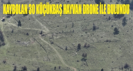 KAYBOLAN 30 KÜÇÜKBAŞ HAYVAN DRONE İLE BULUNDU