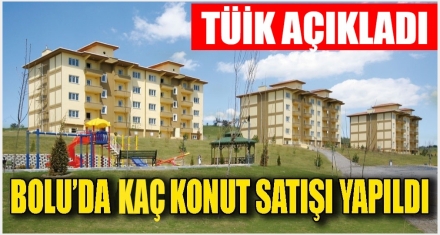 BOLU'DA 2025 YILINDA KAÇ KONUT SATILDI