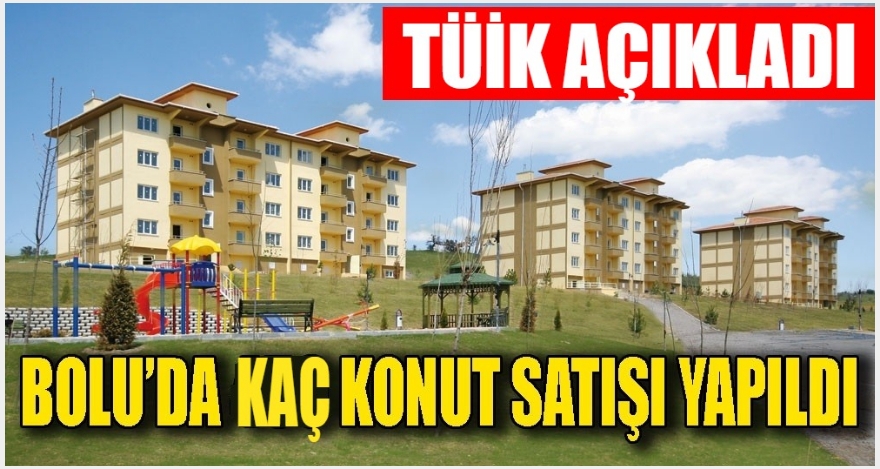 BOLU'DA 2025 YILINDA KAÇ KONUT SATILDI