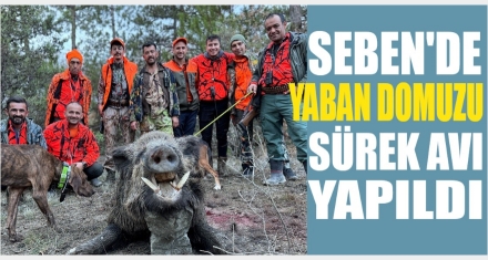 SEBEN'DE YABAN DOMUZU SÜREK AVI YAPILDI