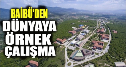 BAİBÜ'den Dünyaya Örnek Çalışma