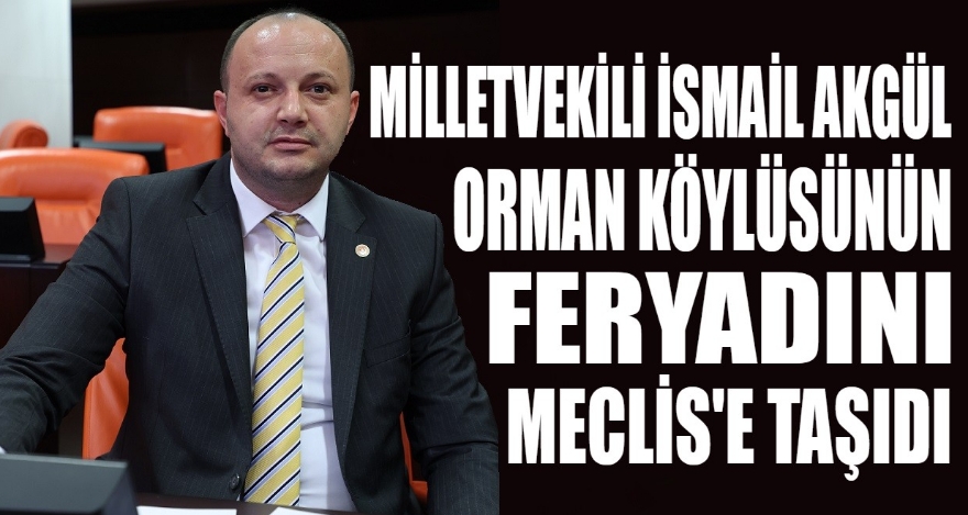 Orman Köylüsünün feryadı, Meclise taşındı
