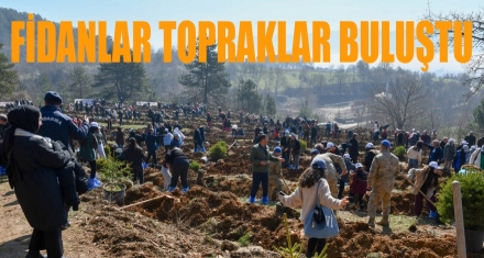 Fidanlar toprakla buluştu