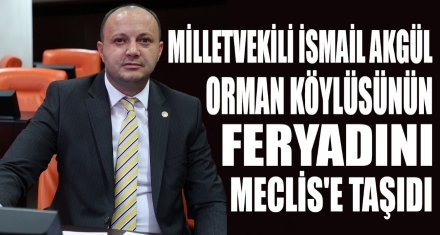 Orman Köylüsünün feryadı, Meclise taşındı
