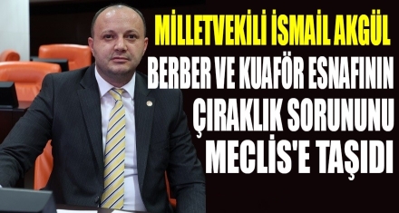 Akgül, Berber ve Kuaför Esnafının Çıraklık Sorununu Meclis'e Taşıdı