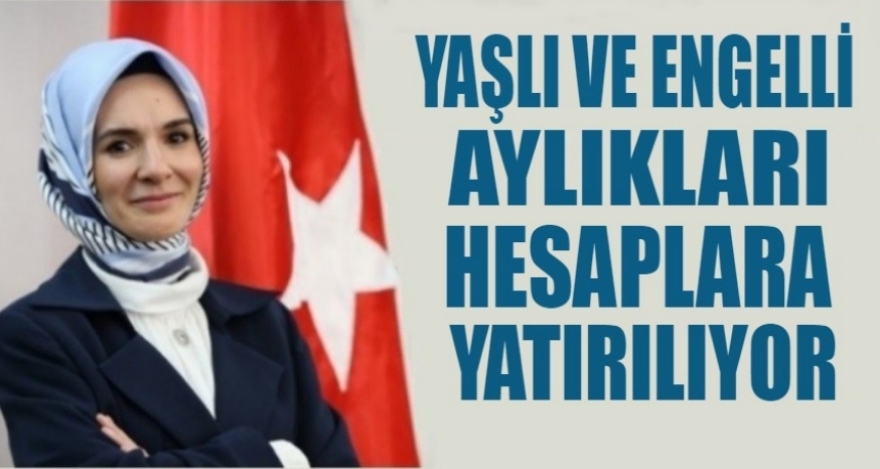 YAŞLI VE ENGELLİ AYLIKLARI HESAPLARA YATIRILMAYA BAŞLANDI