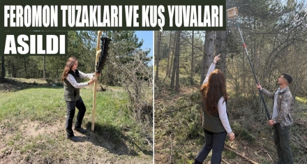 FEROMON TUZAKLARI ASILDI 