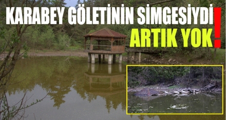 Gölün simgesiydi Artık yok