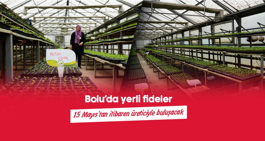 Yerli fideler 15 Mayıs'tan itibaren üreticiyle buluşacak