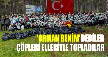 Orman Benim Dediler