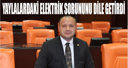 Akgül, Yaylalardaki Elektrik Sorununu TBMM Gündemine Taşıdı