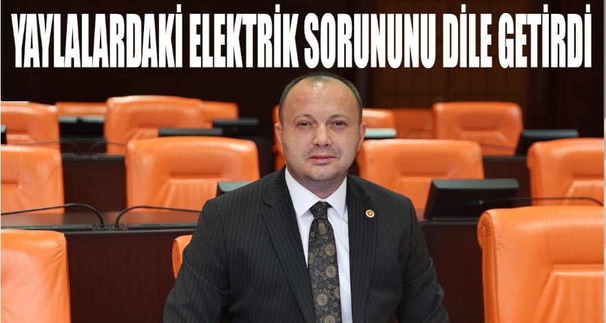 Akgül, Yaylalardaki Elektrik Sorununu TBMM Gündemine Taşıdı