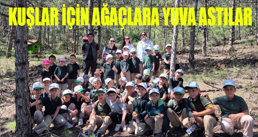 KUŞLAR İÇİN AĞAÇLARA YUVA ASTILAR