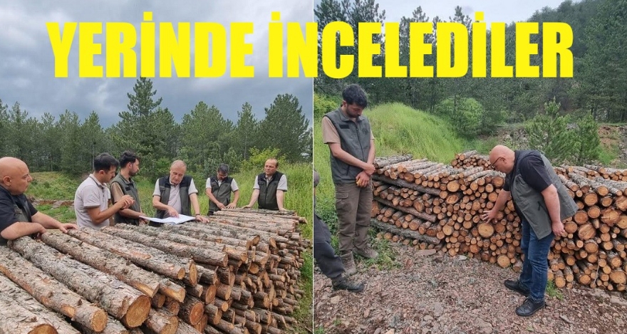 YERİNDE İNCELEDİLER