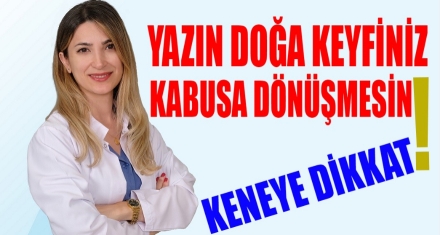 Yazın doğa keyfiniz kabusa dönüşmesin!