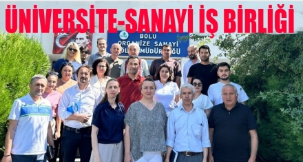 Üniversite-Sanayi İş Birliği